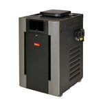 Raypak Electronic Gas Heater Parts