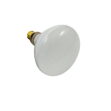 Carvin 23494115R Light Bulb 120v 400w