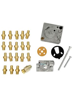 Raypak 010419F Conversion Kit, LP to NG 206-266 MV