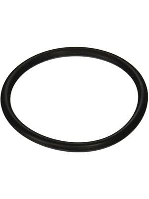 Pentair 154492 O-ring, 2 in. bulkhead, 2 req.