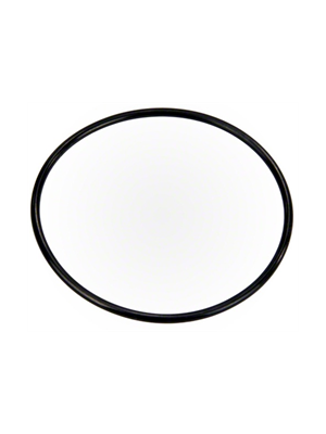 Pentair 355619 Seal Plate O-ring