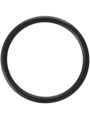 Pentair 35505-1424 O-Ring