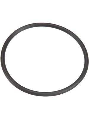 Pentair 35505-1425 O-Ring