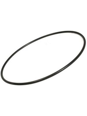 Pentair 357099Z Seal Plate O-Ring (Square)