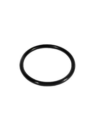 Pentair 355030 Diffuser O-Ring