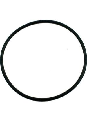 Pentair 354533 O-Ring Lid Replacement