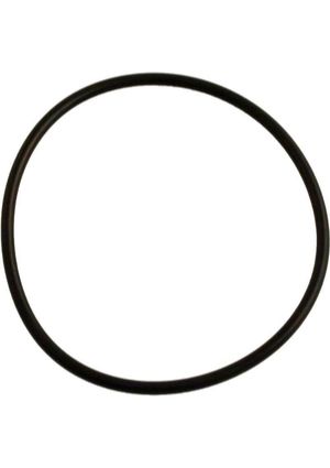 Carvin 47035241R Strainer O-Ring