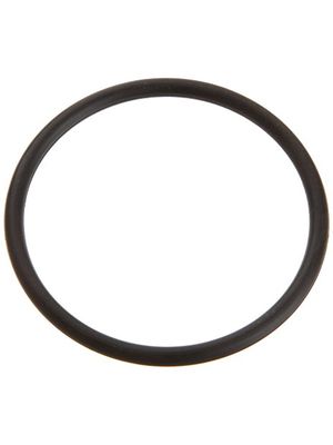 Pentair 6020018 O-Ring