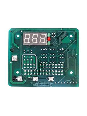 Raypak H000029 Digital Control Board