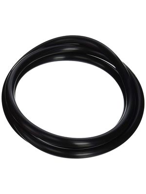 Pentair 39010200 Tank Clamp O-Ring Replacement