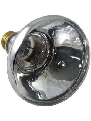 Pentair 79101800 Light Bulb (12V, 100W)