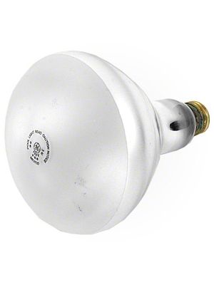 Pentair 79107600 Replacement Bulb, 120V, 300W