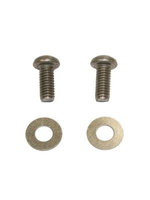 Hayward ECX1108A Mounting Screws (2) and Washers (2) Kit