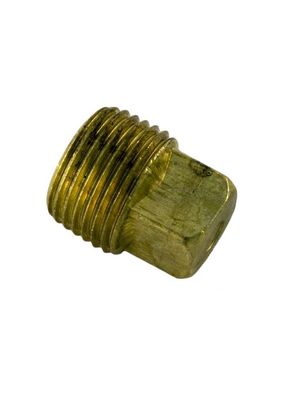 Brass Plug-3/8