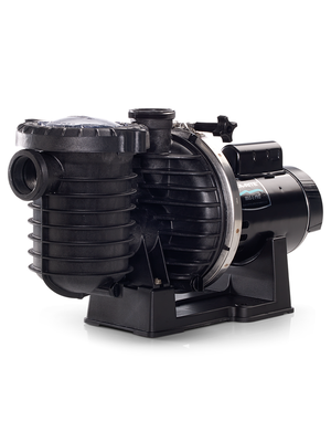 Sta-Rite P6E6E-206L MAX-E-PRO Inground Pool Pump, 1 HP