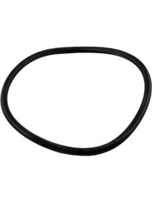 Zodiac R0480200 Lid O-Ring