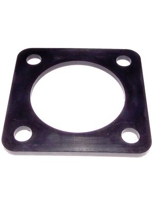 Pentair C20-123 Trap Outlet Gasket
